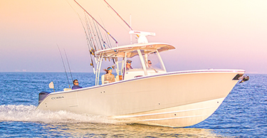 Cobia Boat For Sale
